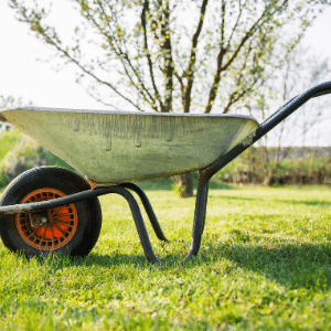 Wheelbarrow Reviews