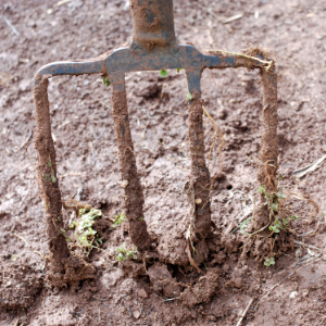 Garden Fork Reviews